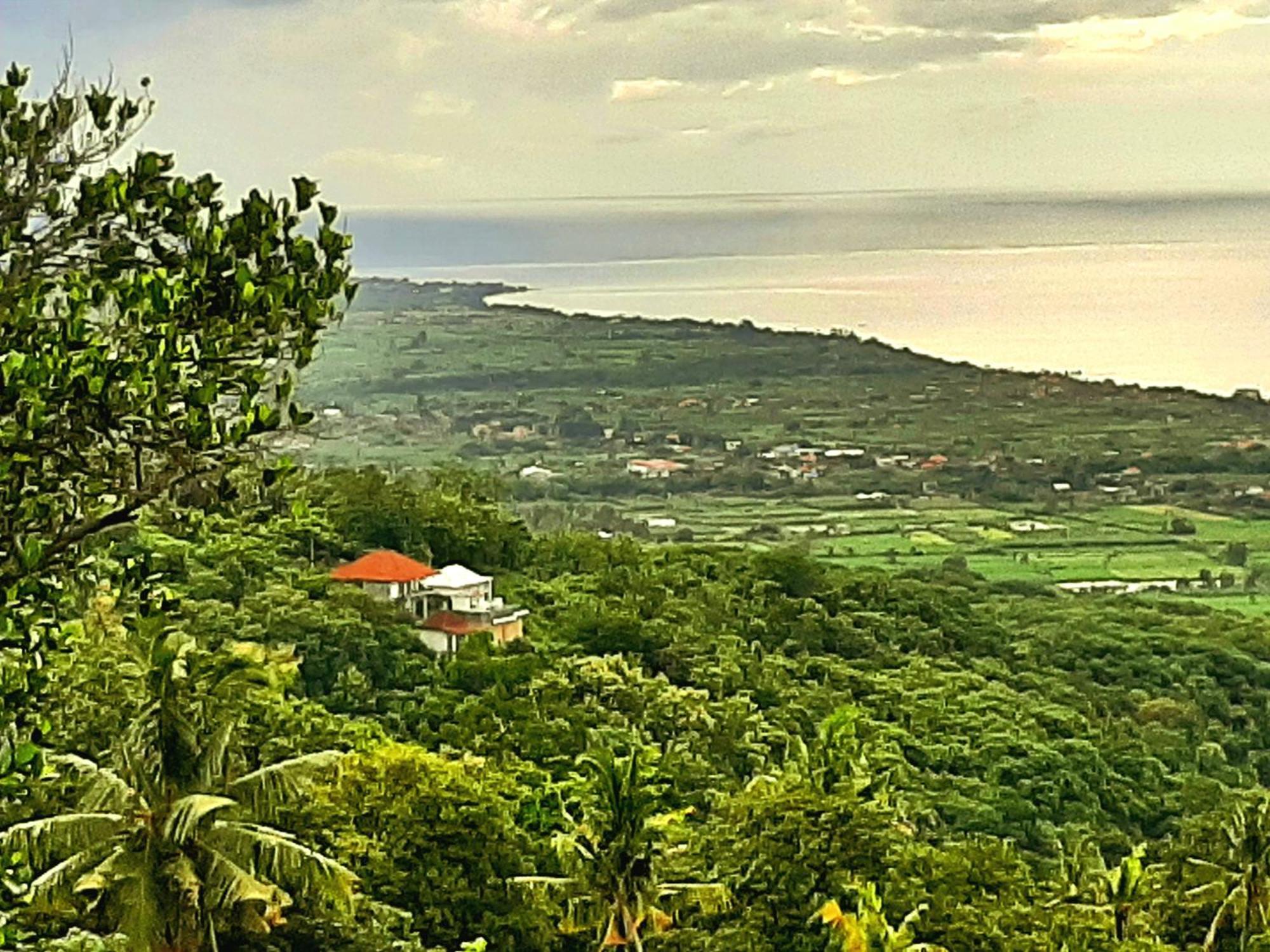 Liri Villa - Ocean, Hills, Valley View โลวินา ภายนอก รูปภาพ