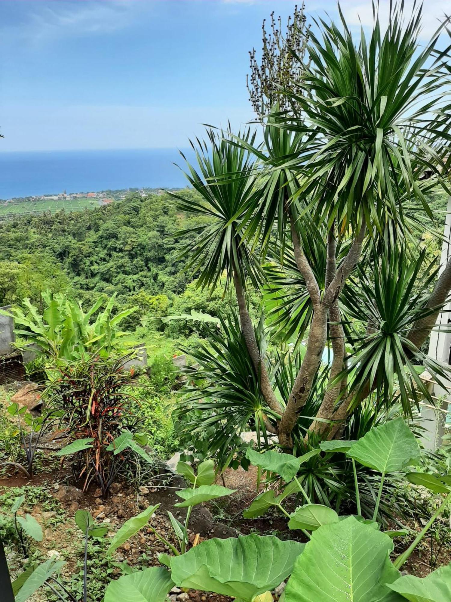 Liri Villa - Ocean, Hills, Valley View โลวินา ภายนอก รูปภาพ